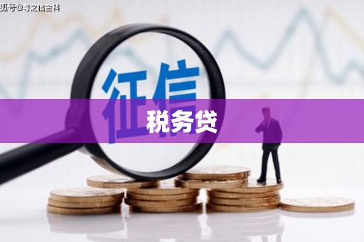 灵璧税务贷
