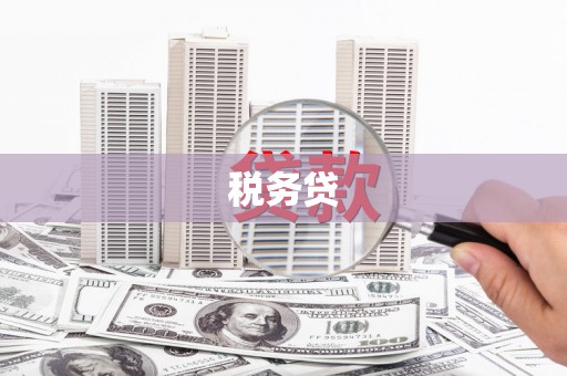 灵璧税务贷