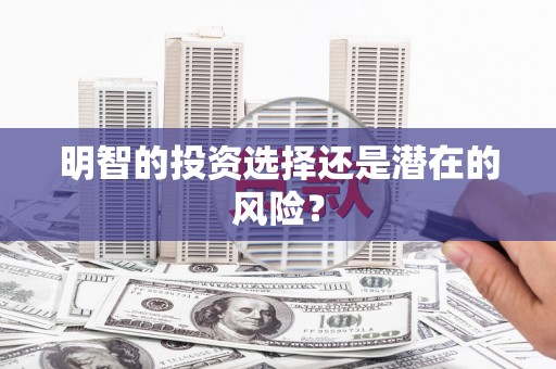 灵璧明智的投资选择还是潜在的风险？
