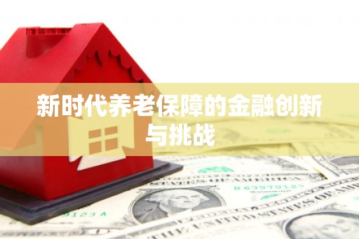 灵璧新时代养老保障的金融创新与挑战