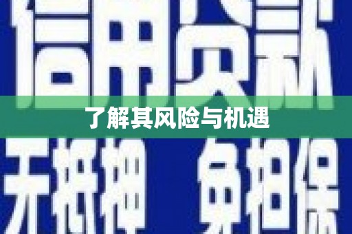灵璧了解其风险与机遇