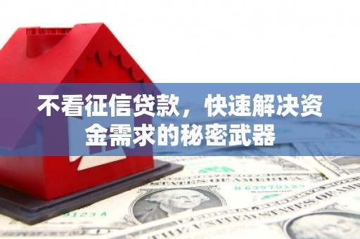 灵璧不看征信贷款，快速解决资金需求的秘密武器