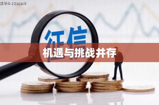 灵璧机遇与挑战并存