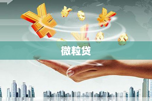 灵璧微粒贷