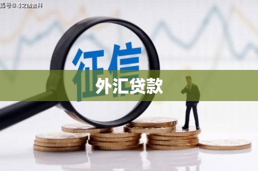 灵璧外汇贷款