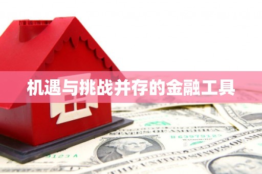 灵璧机遇与挑战并存的金融工具