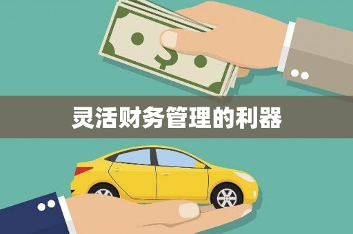 灵璧灵活财务管理的利器