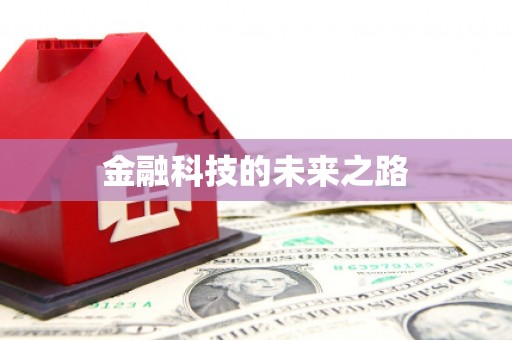 灵璧金融科技的未来之路