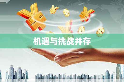 灵璧机遇与挑战并存
