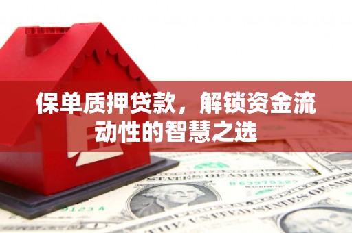 灵璧保单质押贷款，解锁资金流动性的智慧之选