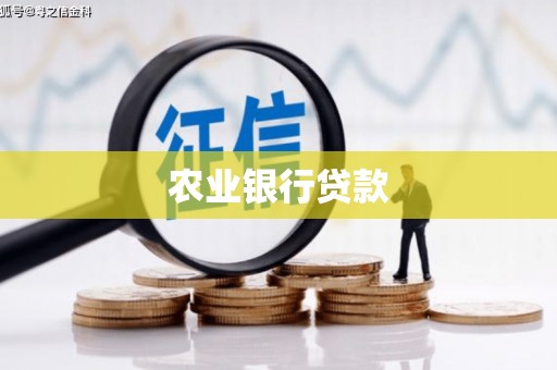 灵璧农业银行贷款