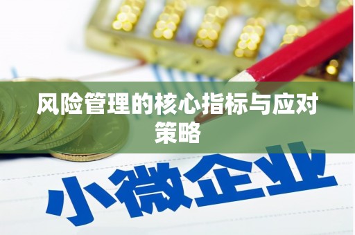 灵璧风险管理的核心指标与应对策略
