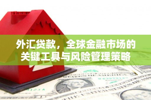 灵璧外汇贷款，全球金融市场的关键工具与风险管理策略