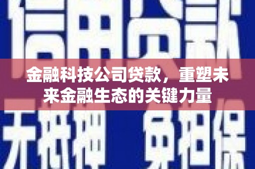 灵璧金融科技公司贷款，重塑未来金融生态的关键力量