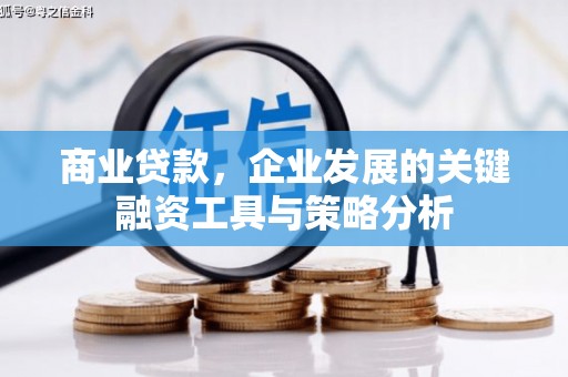 灵璧商业贷款，企业发展的关键融资工具与策略分析