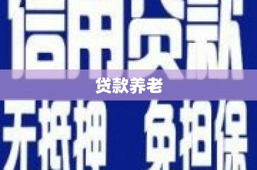 灵璧贷款养老