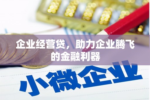 灵璧企业经营贷，助力企业腾飞的金融利器