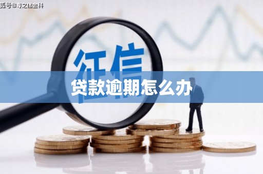 灵璧贷款逾期怎么办