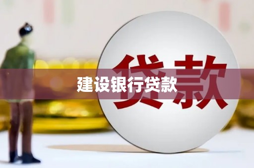 灵璧建设银行贷款