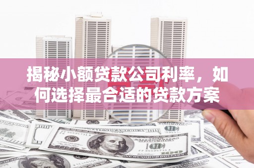 灵璧揭秘小额贷款公司利率，如何选择最合适的贷款方案