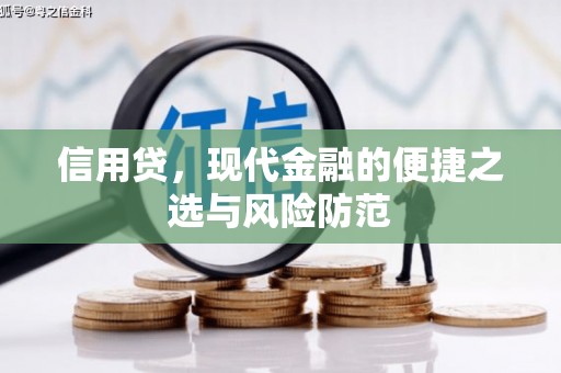 灵璧信用贷，现代金融的便捷之选与风险防范