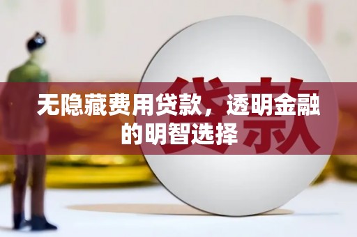 灵璧无隐藏费用贷款，透明金融的明智选择