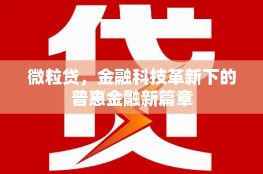 灵璧微粒贷，金融科技革新下的普惠金融新篇章