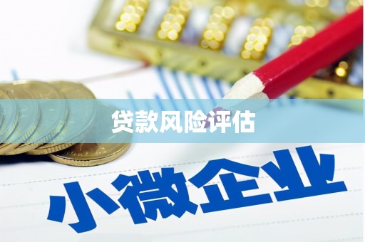 灵璧贷款风险评估