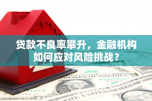 灵璧贷款不良率攀升，金融机构如何应对风险挑战？