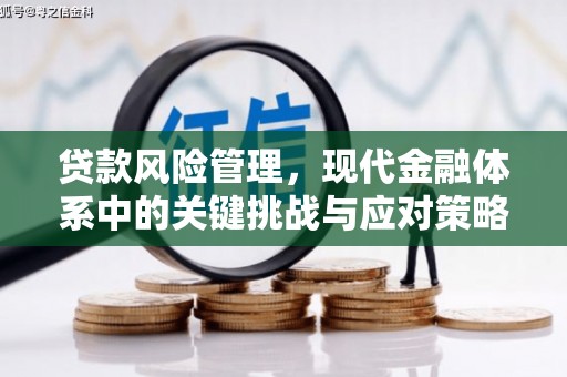 灵璧贷款风险管理，现代金融体系中的关键挑战与应对策略