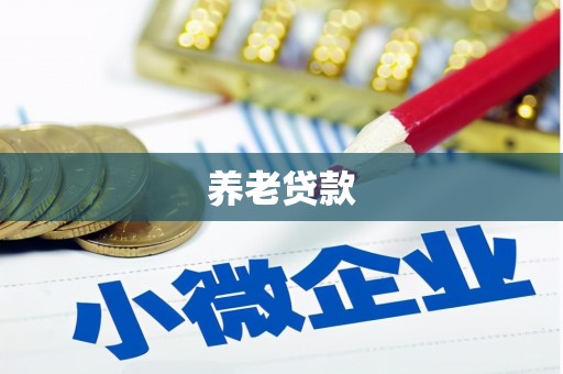 灵璧养老贷款