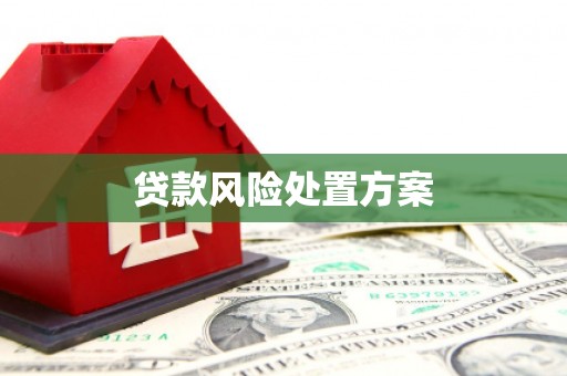 灵璧贷款风险处置方案