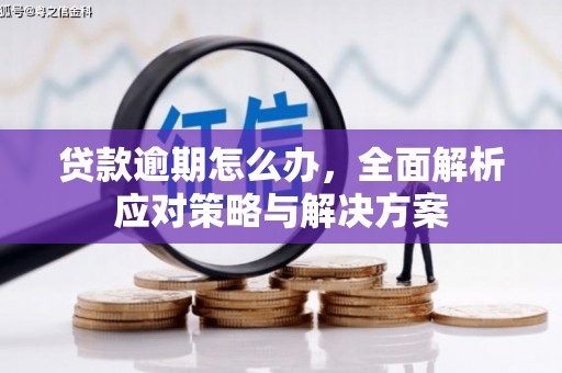 灵璧贷款逾期怎么办，全面解析应对策略与解决方案