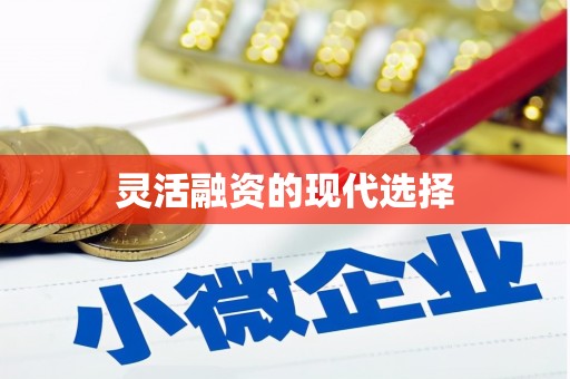 灵璧灵活融资的现代选择